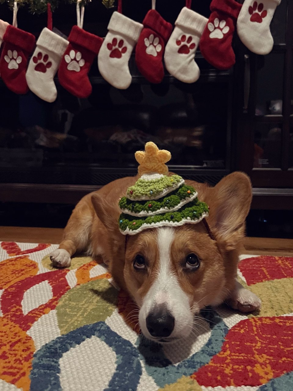 圣诞树🎄帽子