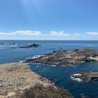 【湾区】绝美海景Point Lobos ...