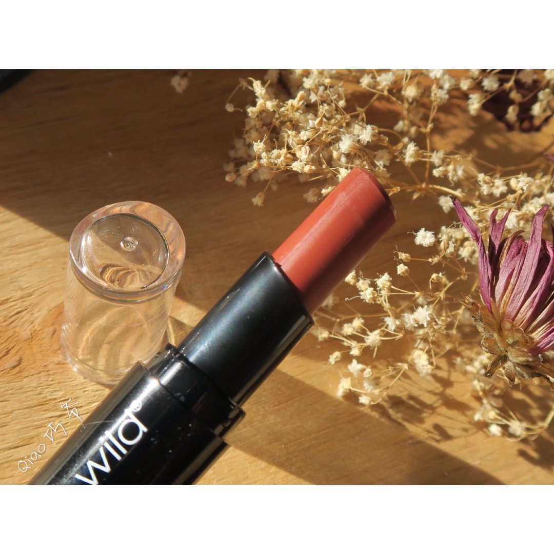 99的砖红橘棕色口红要不要?-wet n wild-美妆-北美省钱快报-dealmoon.