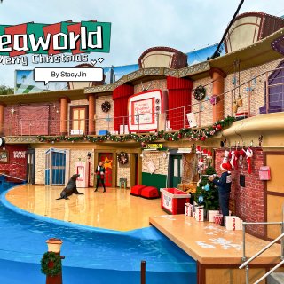 圣地亚哥Seaworld 节日季游玩攻略...