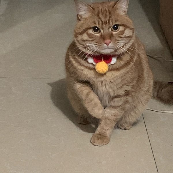 笔记图片