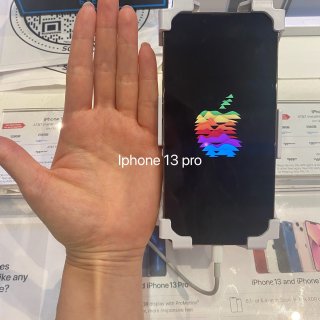 iPhone 13 Pro Max（远峰...