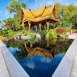 户外活动-价值连城的泰国🇹🇭金殿...