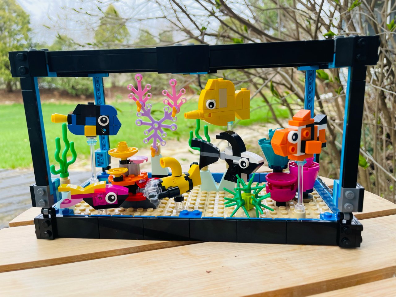 Lego｜fish tank 鱼缸...