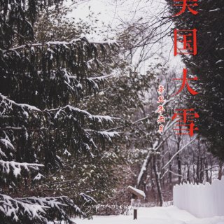 ❄️ 美东大雪/瑞雪兆丰年(修图app分...