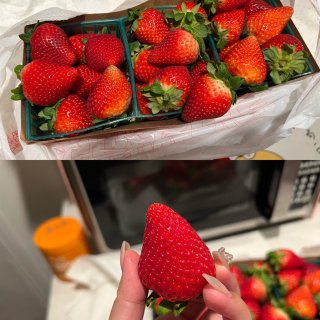 🍓洛杉矶超级甜的草莓农场在这里！！！...