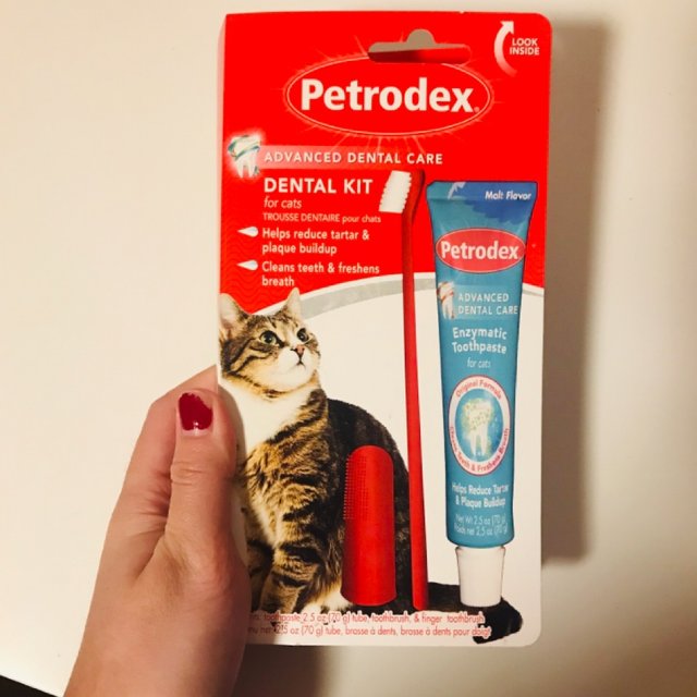 Petrodex猫猫牙刷+牙膏组合