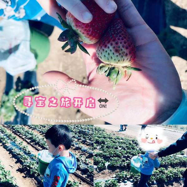 晒货图片