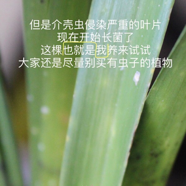 晒货图片