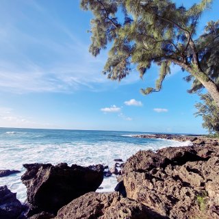 夏威夷环岛-这才是你真正寻找的白沙滩...
