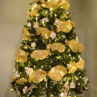 金色宽丝带配上圣诞树真的太美了2021🎄...