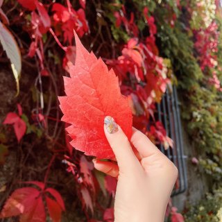 秋天的顏色｜仙氣滿滿的手繪蝴蝶氣質美甲🍁...