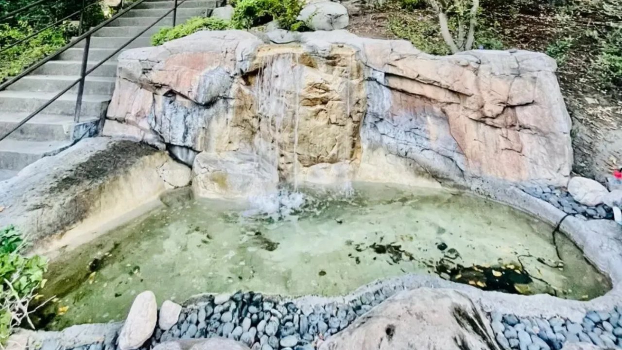 加州圣路易斯·奥比斯波-梧桐矿泉酒店的天然温泉