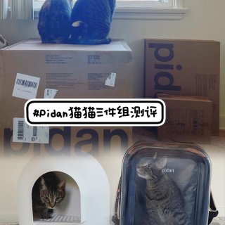 ｜喵喵喵喵｜Pidan猫猫用品测评✨猫砂...