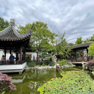 兰苏园 | 波特兰的中国古典园林...