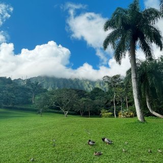 Oahu Ho’omaluhia 植物园...