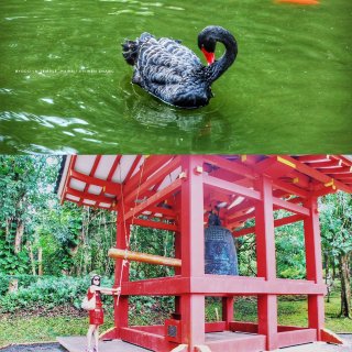 夏威夷 | 大山脚下的日本禅院Byodo...