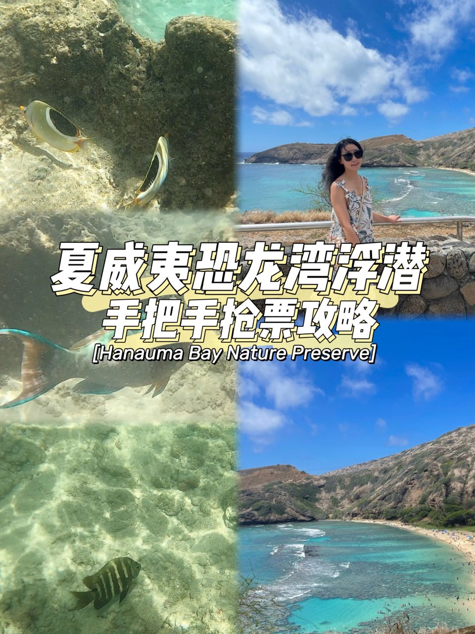 夏威夷｜最火爆恐龙湾浮潜手把手抢票攻略...