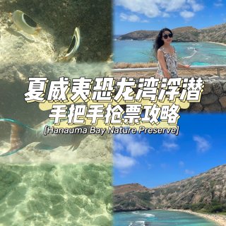 夏威夷｜最火爆恐龙湾浮潜手把手抢票攻略...