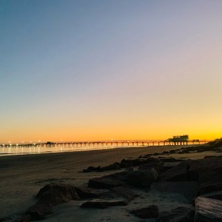 Galveston 出海看海豚&绝美日落...