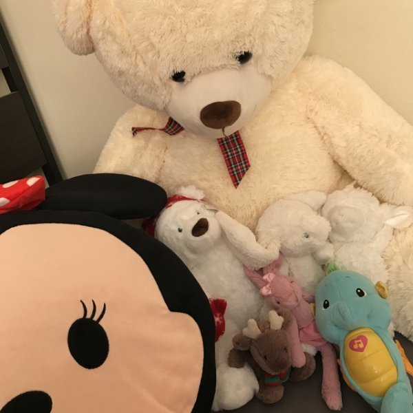 晒货图片