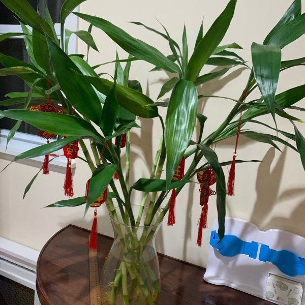 晒货图片