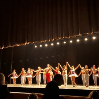 La 芭蕾🩰舞团 