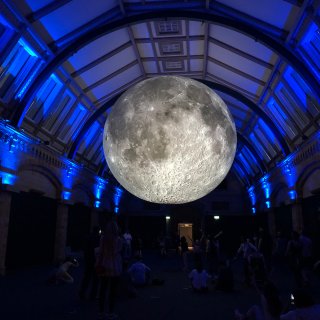 自然历史博物馆 | 独特的月球展+恐龙展...