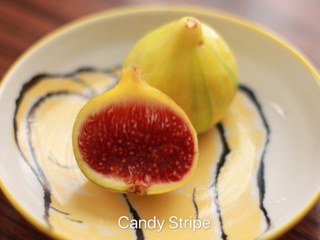 有颜值的无花果