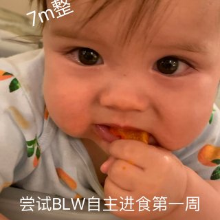 7M整宝宝尝试BLW自主进食第一周，那些...