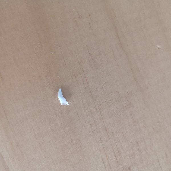 晒货图片