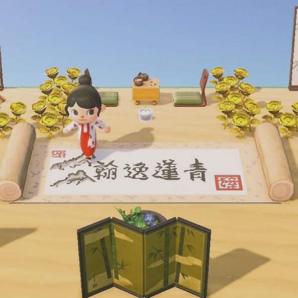 晒货图片