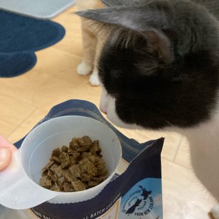 猫咪第一次吃上高级的Ziwi粮～😌...