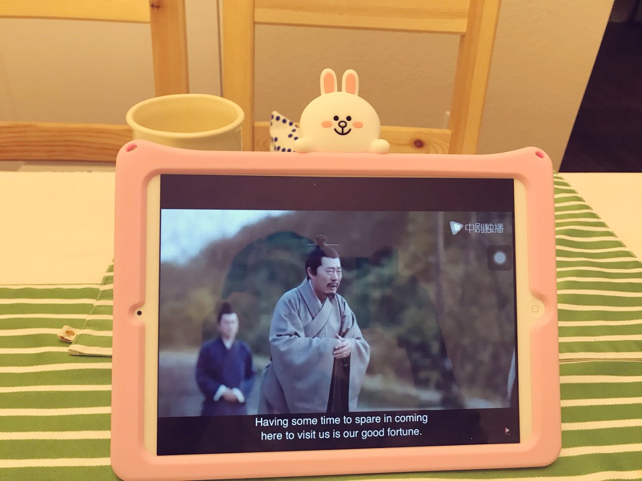 萌兔子iPad case
