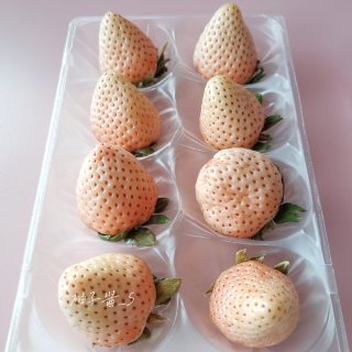 柚子家好物 | あまおう和淡雪草莓🍓...