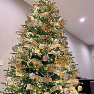圣诞树🎄｜金色系...