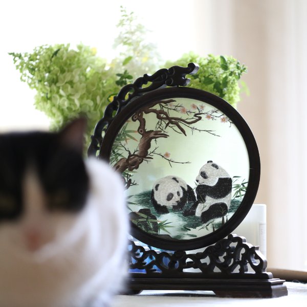 晒货图片