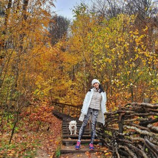 Hiking Day 🐕🍁 秋天的森林公...