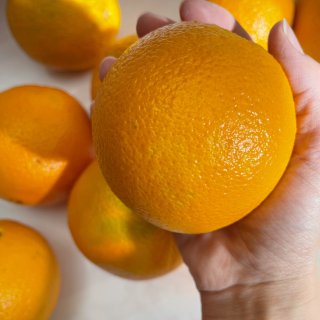 这是血橙吗？
