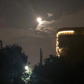 家乡的月亮刚刚爬上来...