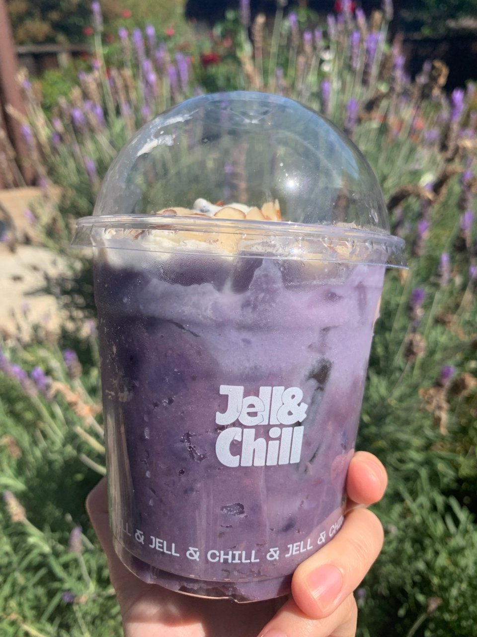 Jell&Chill三款比较：紫薯🍠玫瑰...