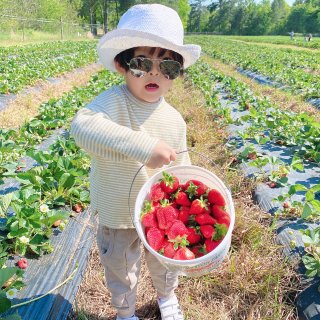 草莓季🍓带萌娃们摘草莓咯！...