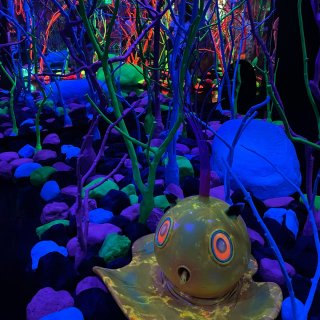 Meow Wolf 奇幻屋 🍄🪸 拍照好...