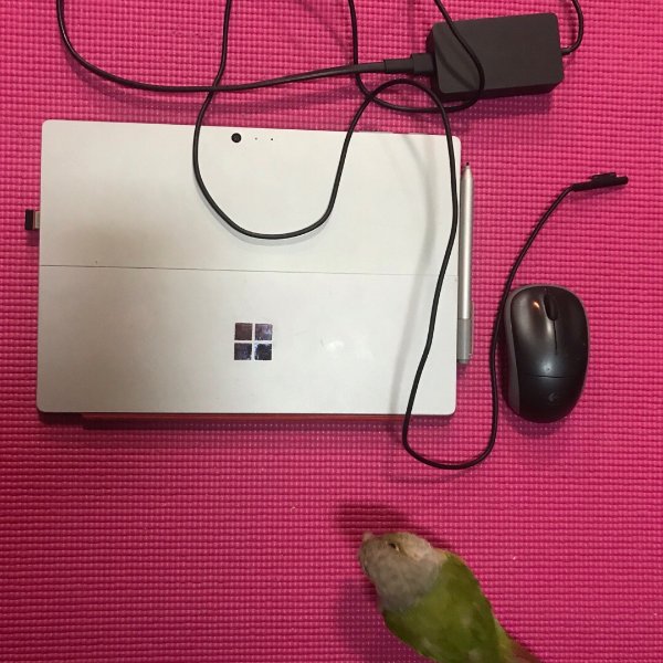晒货图片