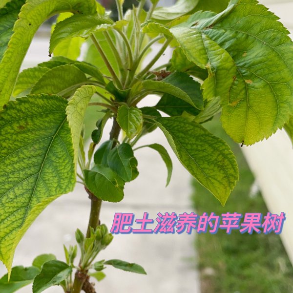 晒货图片