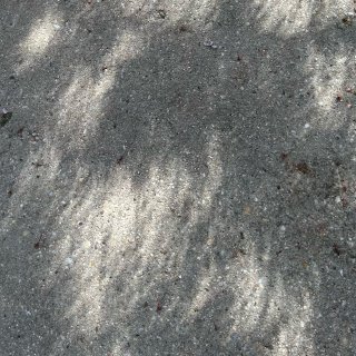 北美日全食｜地上的树影是怎么回事？...