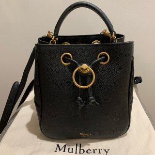 Mulberry small Hamps...