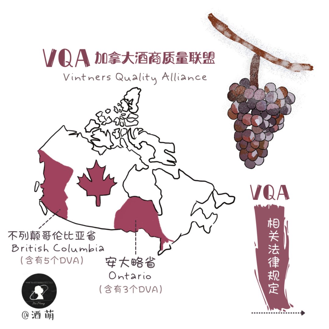 加拿大葡萄酒｜酒标上的“VQA”买它⁉️...