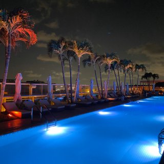 迈阿密 ｜ 1 hotel海滩 🌊🏖️...