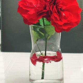 IKEA 好看的花瓶和花盆...